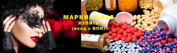 ГАЛЛЮЦИНОГЕННЫЕ ГРИБЫ Абаза