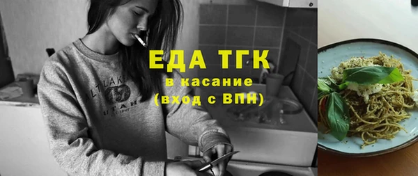 хмурый Алексин