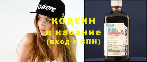 хмурый Алексин
