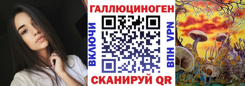цена   Зубцов  Псилоцибиновые грибы Magic Shrooms 